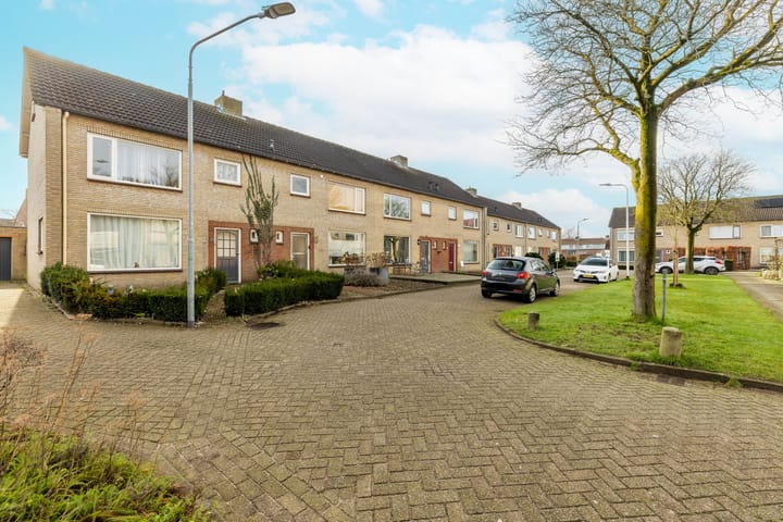 Foto 2 van Gele Berk 13