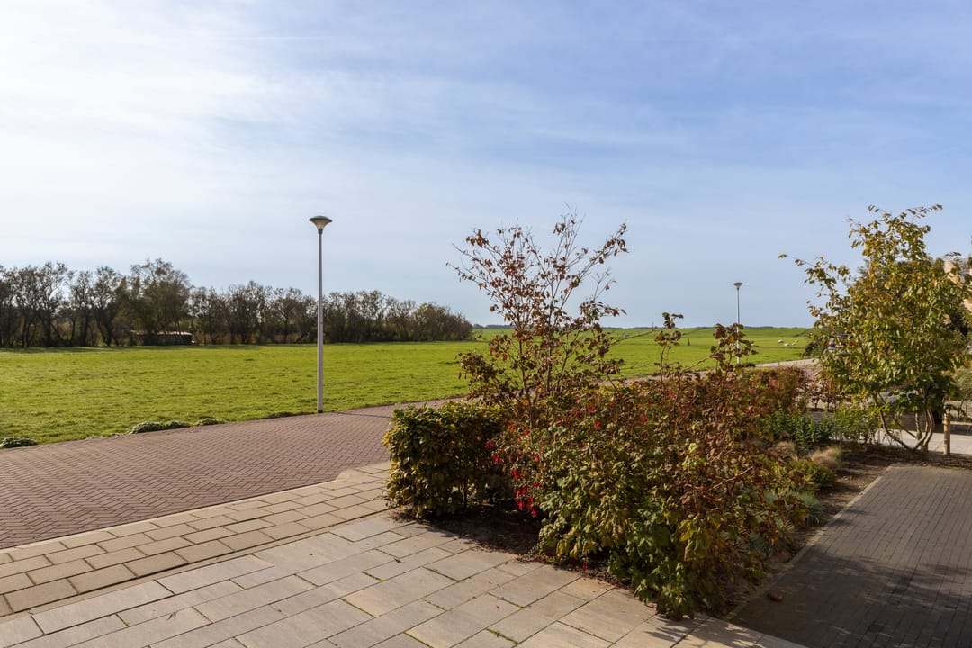 Foto 41 van Suyderbon 39