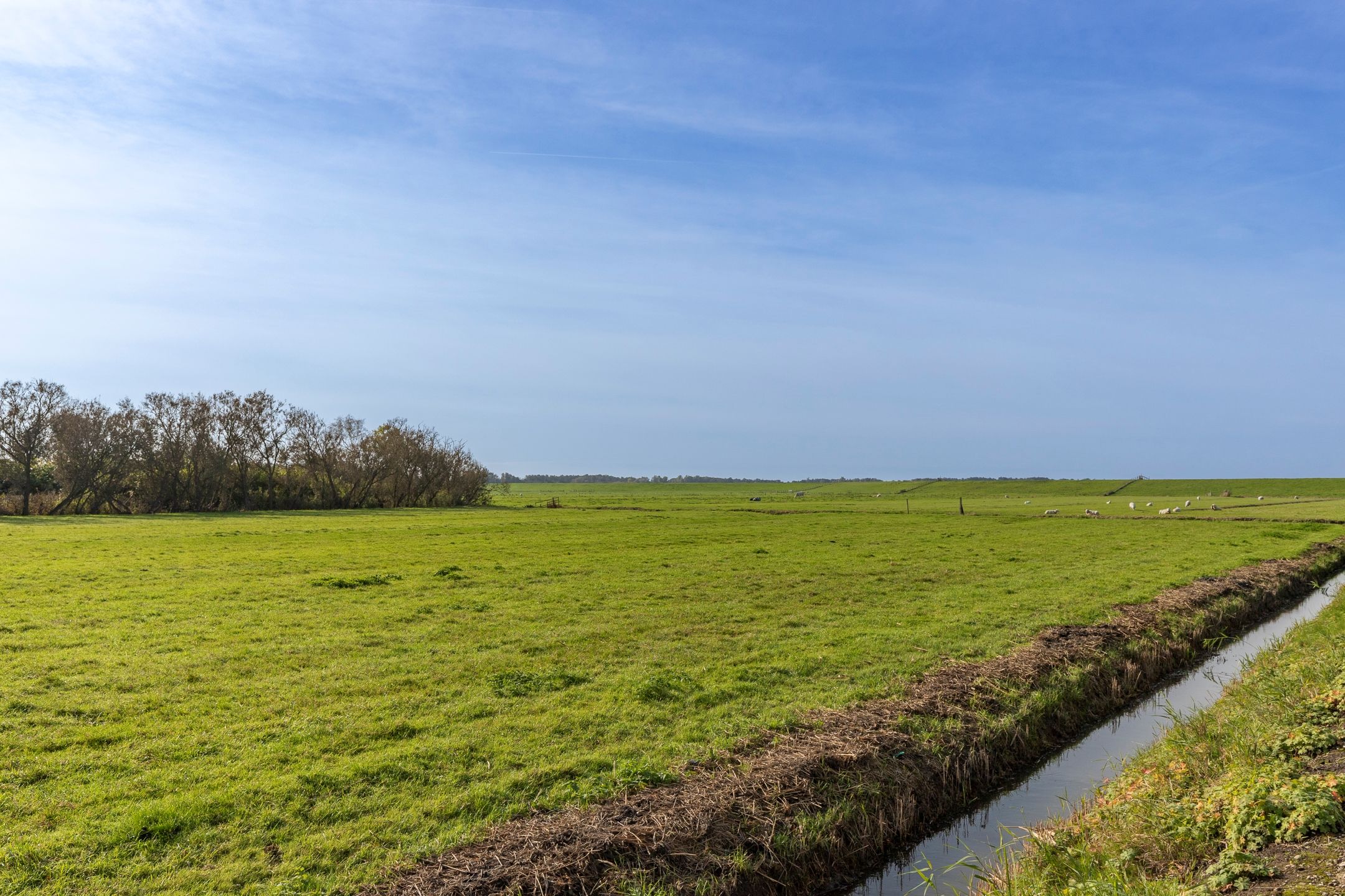 Foto 42 van Suyderbon 39