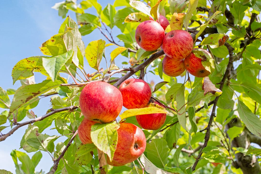 Foto 26 van Paradijstuinlaan 7