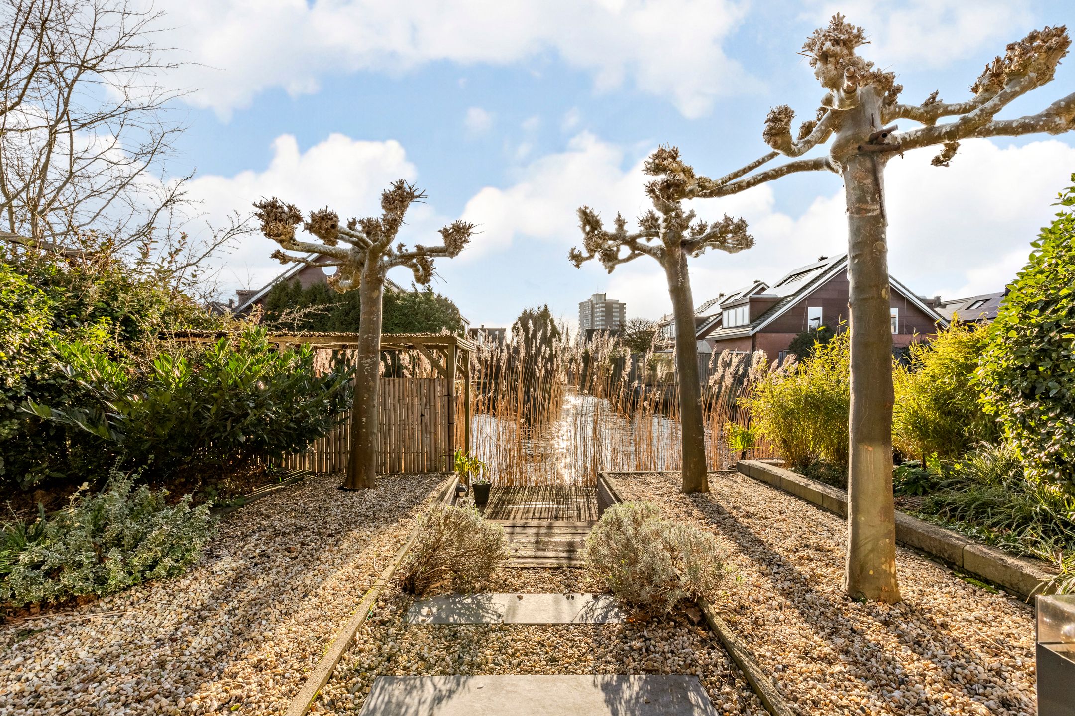 Foto 39 van Jan Greshoffstraat 14