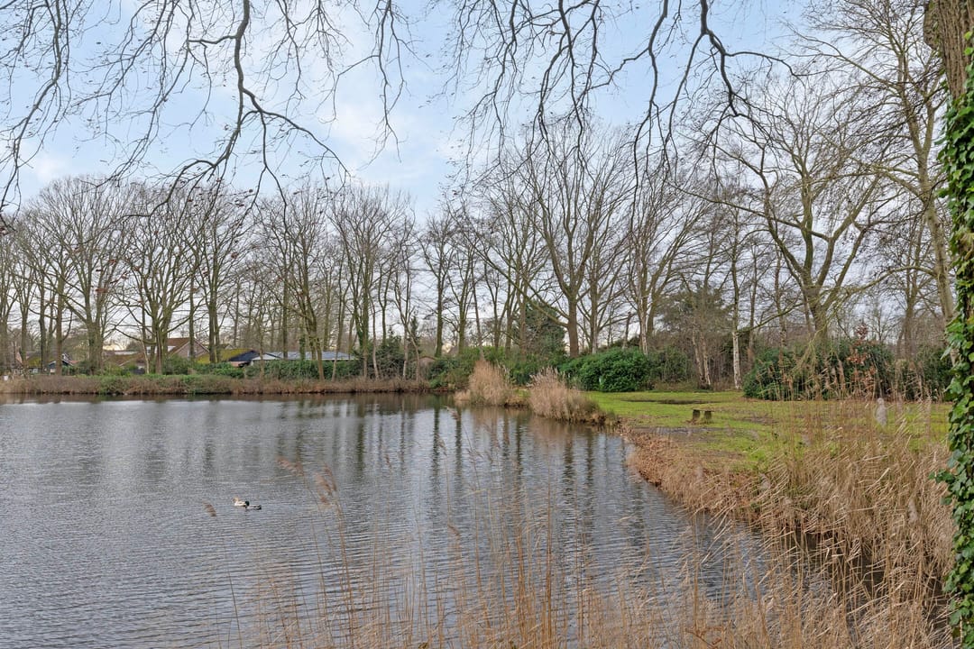 Foto 47 van Kleine Heistraat 16-K375