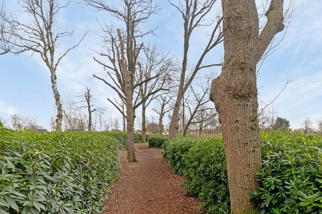 Foto 46 van Kleine Heistraat 16-K375