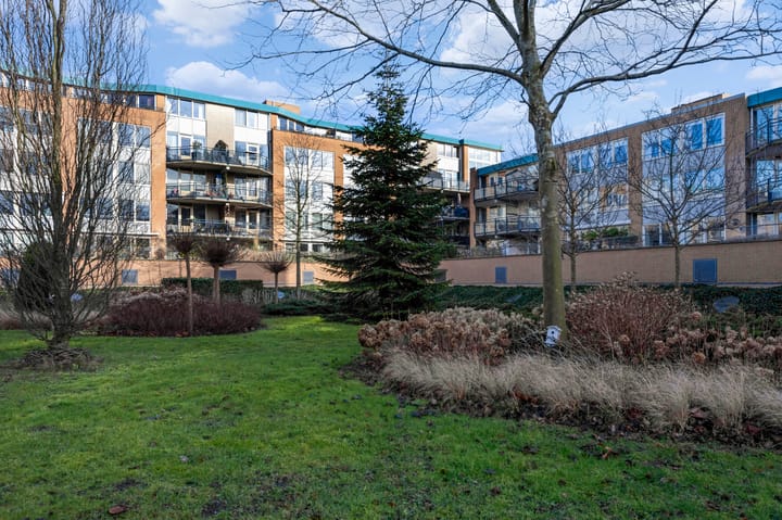 Photo 32 of Jesse Owenshof 30