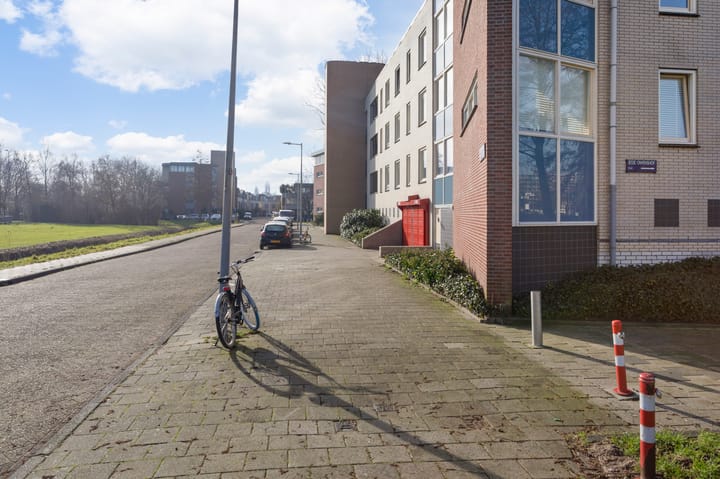 Photo 34 of Jesse Owenshof 30