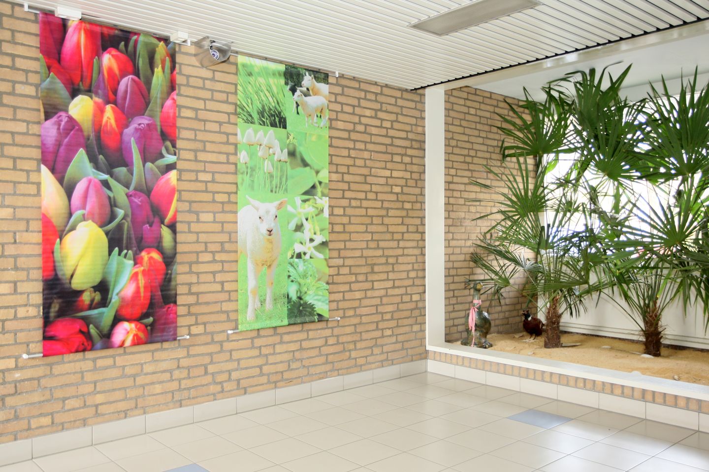 Foto 4 van Schubertplein 199