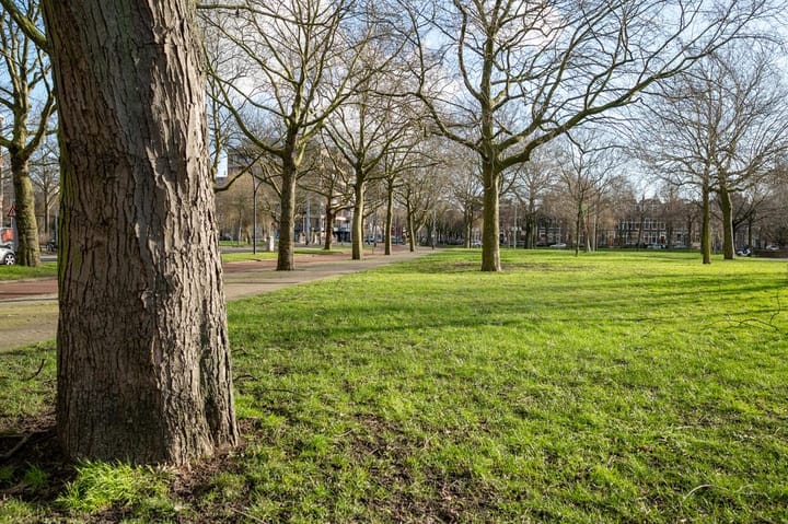 Foto 36 van Mathenesserlaan 337-C