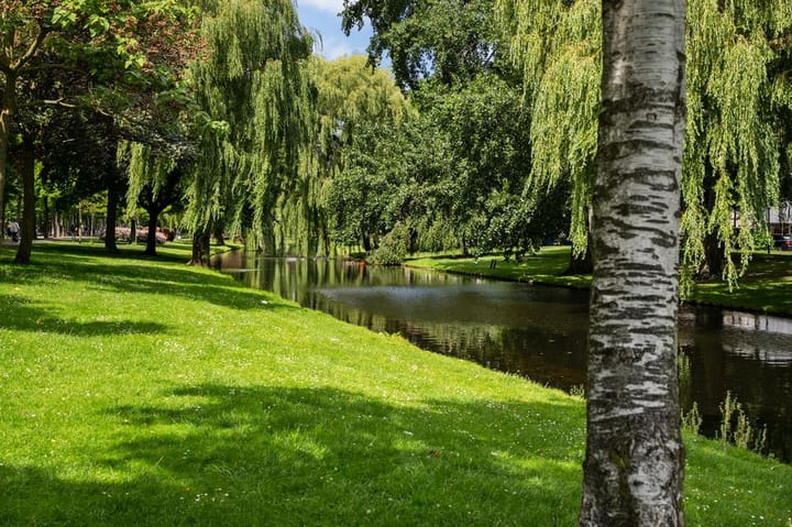 Foto 38 van Mathenesserlaan 337-C