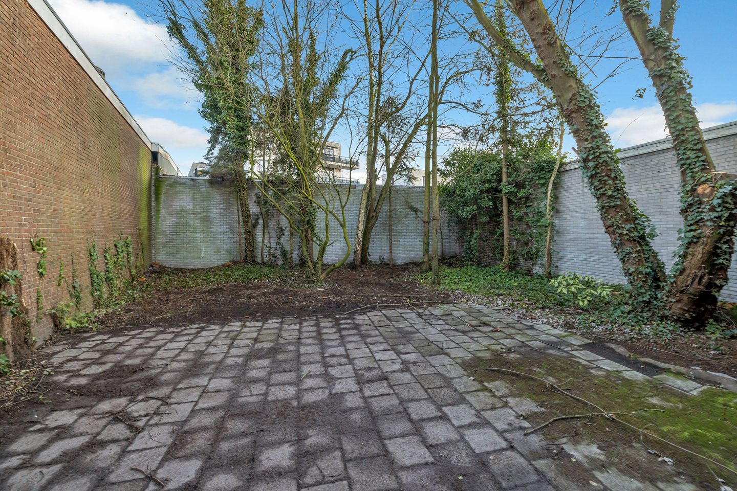 Photo 49 of Mecklenburgstraat 19