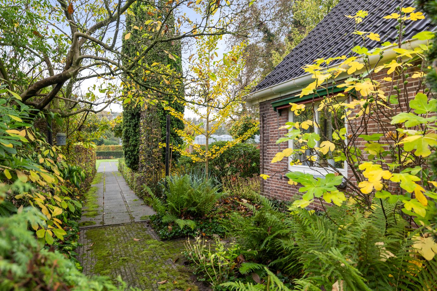 Foto 40 van Terwoldseweg 10