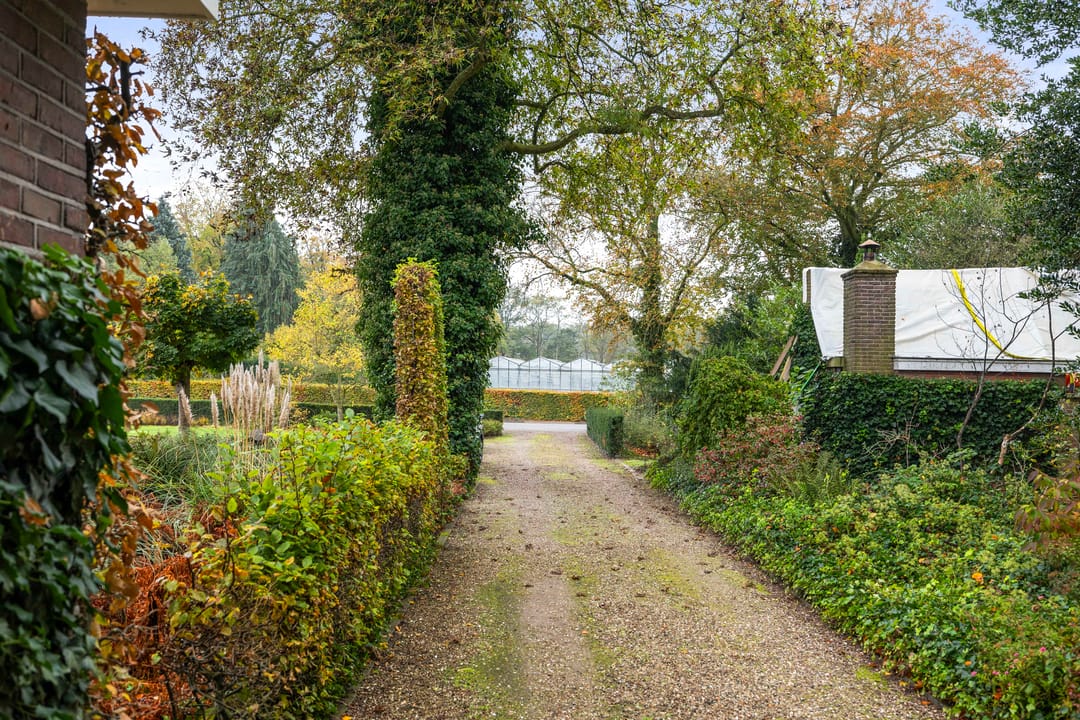 Foto 47 van Terwoldseweg 10