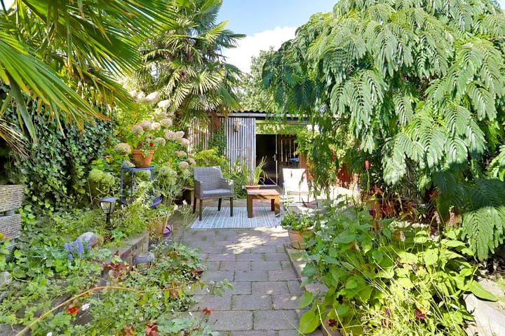 Foto 3 van Duifkruid 111