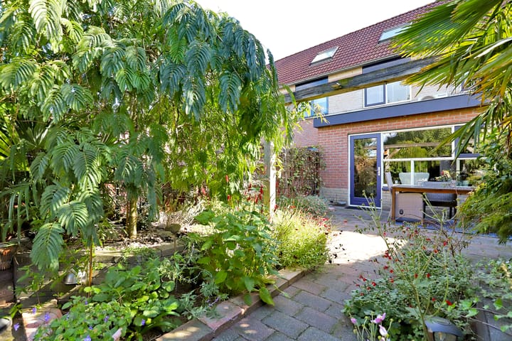 Foto 35 van Duifkruid 111