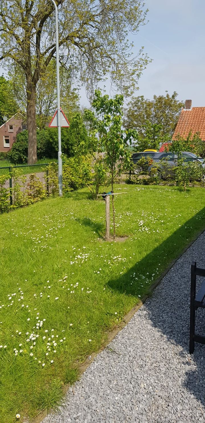 Foto 70 van Oudedijk 4