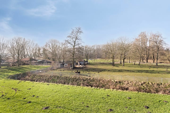 Foto 31 van Cort van der Lindenkade 30