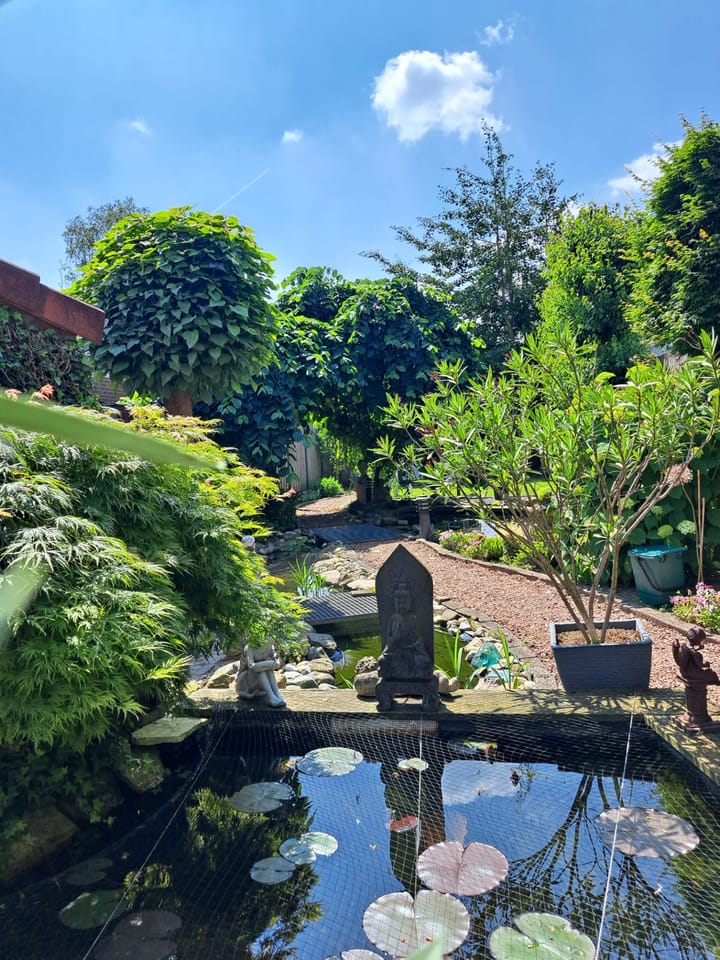 Foto 38 van Berkelstraat 24