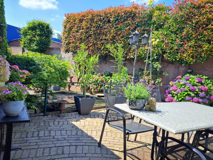 Foto 39 van Berkelstraat 24