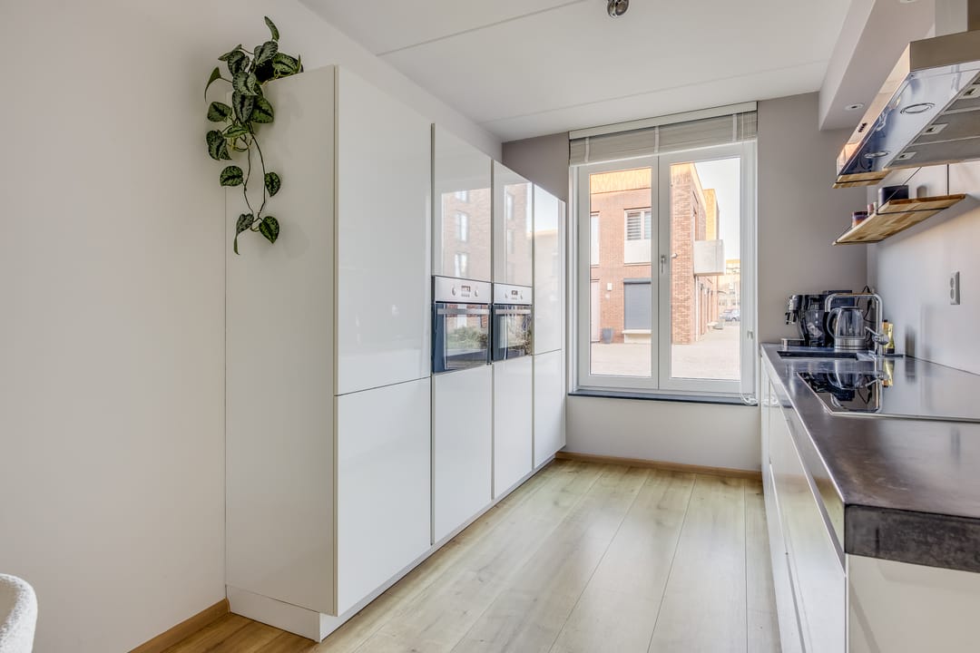 Foto 16 van Ray Conniffpad 6