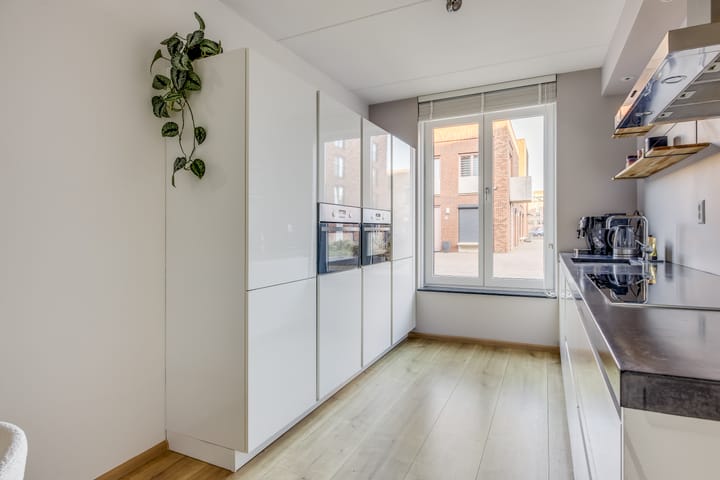 Foto 16 van Ray Conniffpad 6