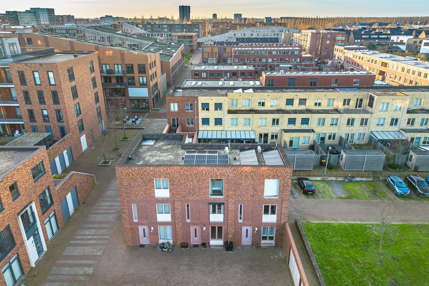 Foto 50 van Ray Conniffpad 6