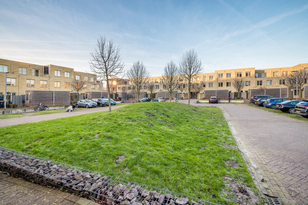 Foto 58 van Ray Conniffpad 6