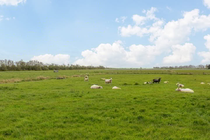 Foto 32 van Spangahoekweg 45