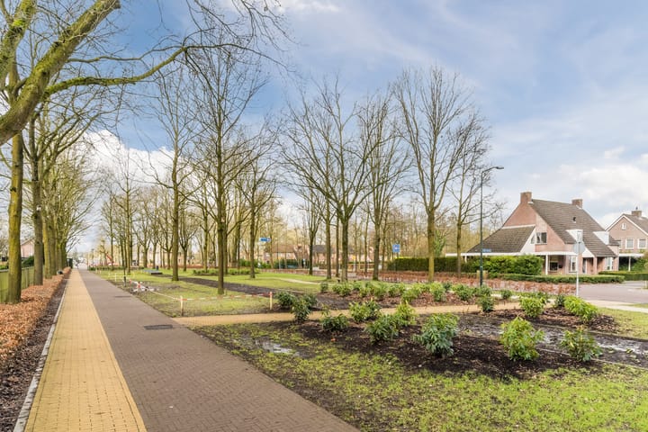 Foto 50 van De Kuil 56