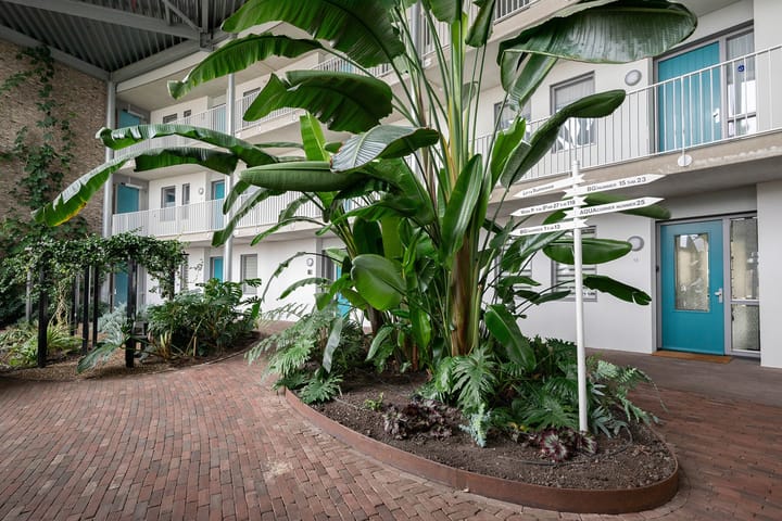 Foto 5 van Hof van Pampus 1