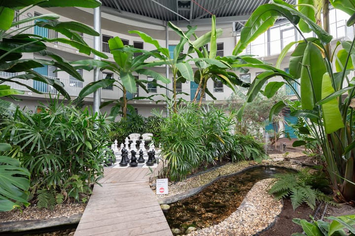 Foto 31 van Hof van Pampus 1