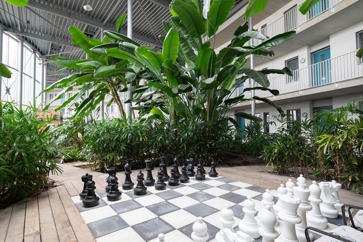 Foto 32 van Hof van Pampus 1