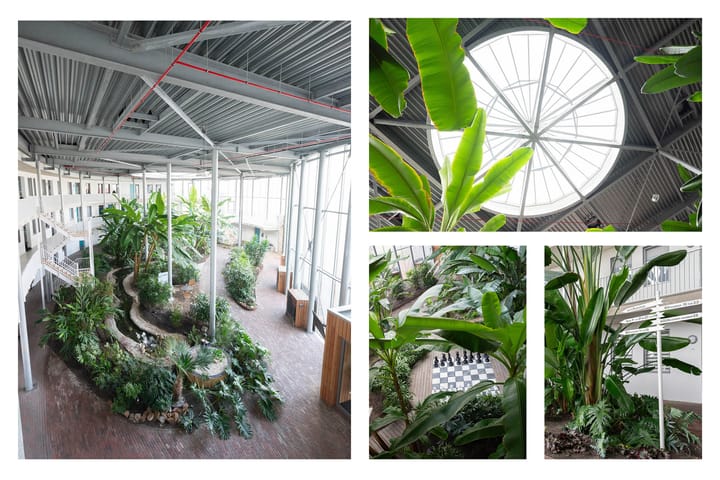 Foto 33 van Hof van Pampus 1