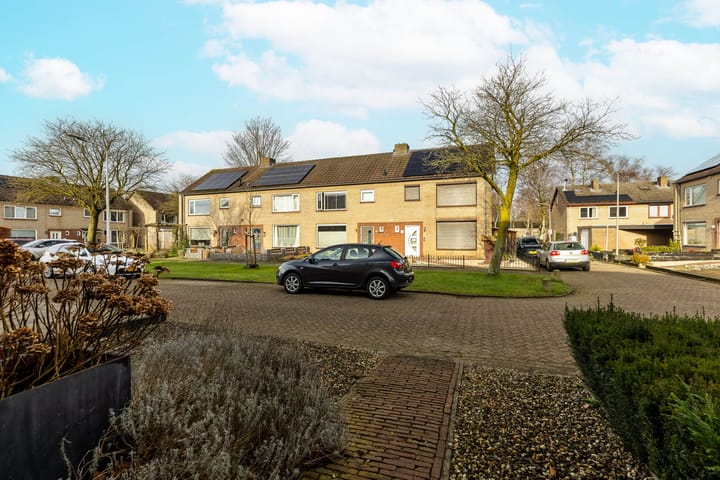 Foto 5 van Gele Berk 13