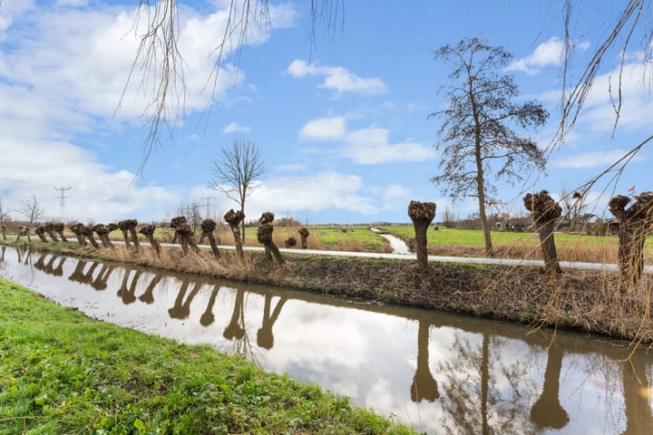 Foto 2 van Venuslaan 51