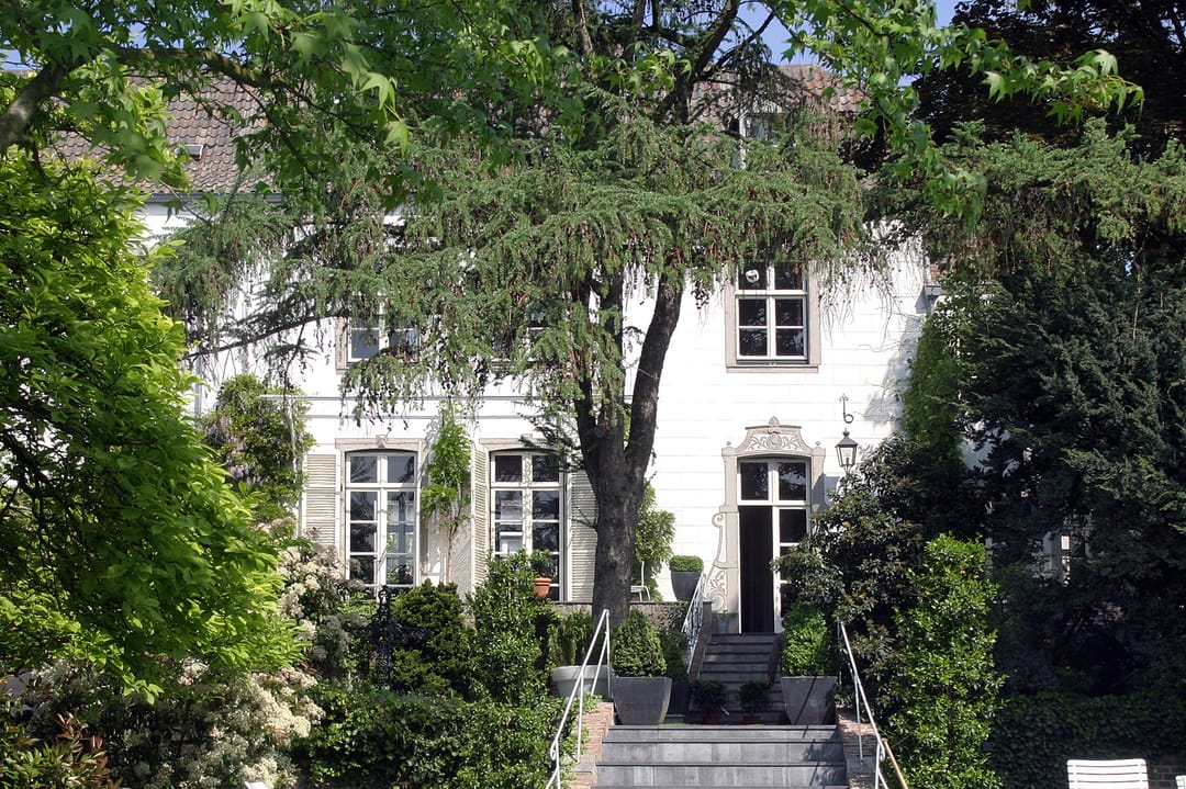 Foto 2 van Wijngaard 9