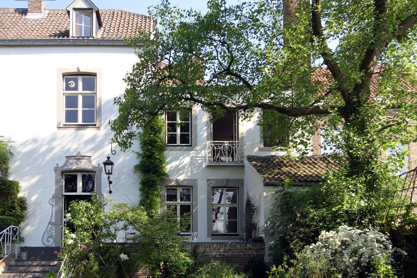 Foto 4 van Wijngaard 9