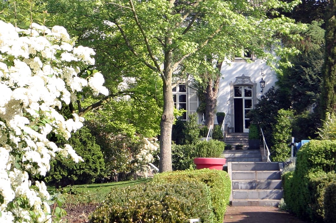 Foto 7 van Wijngaard 9