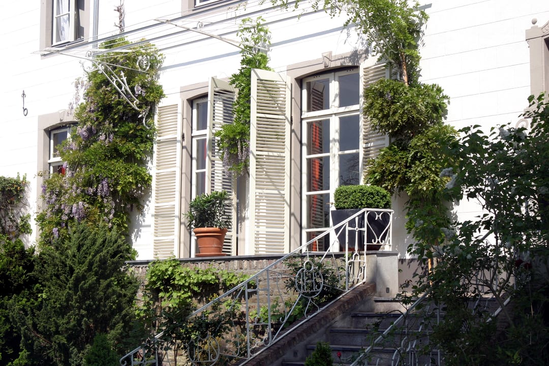 Foto 13 van Wijngaard 9