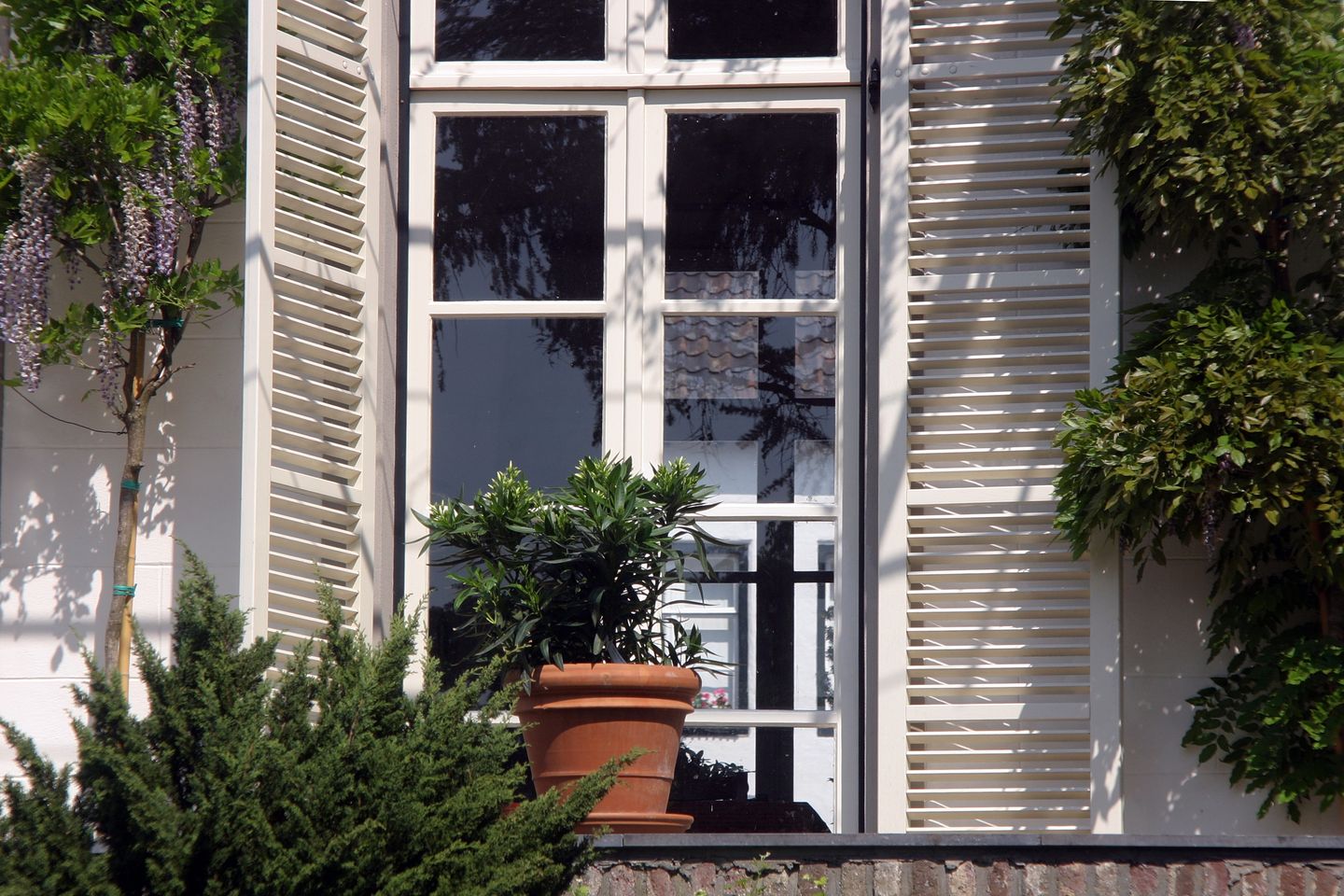 Foto 14 van Wijngaard 9