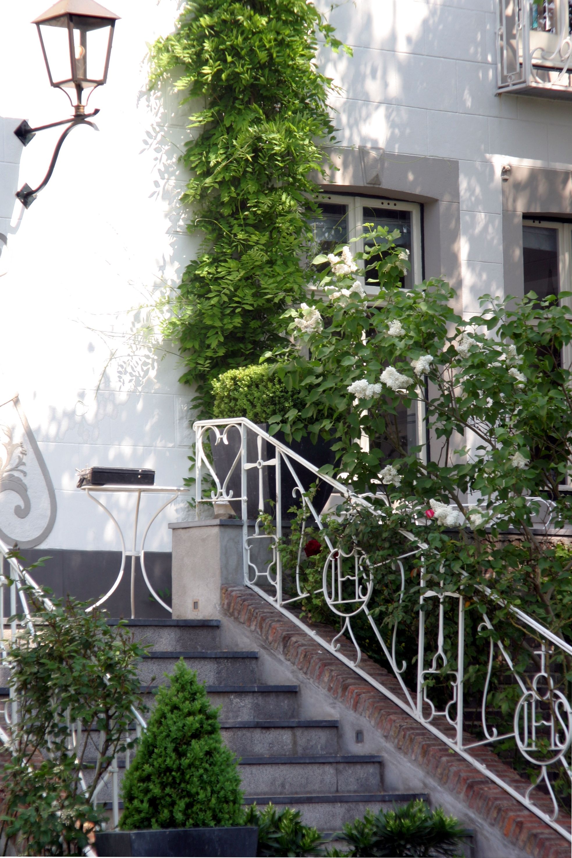 Foto 15 van Wijngaard 9