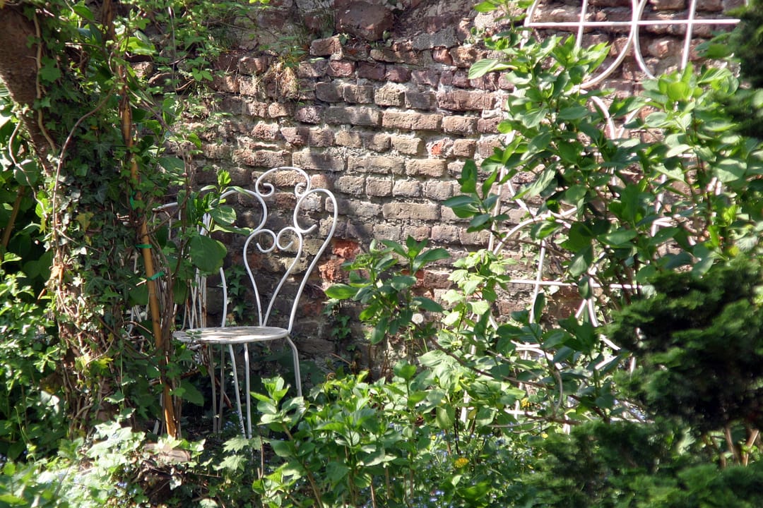 Foto 16 van Wijngaard 9