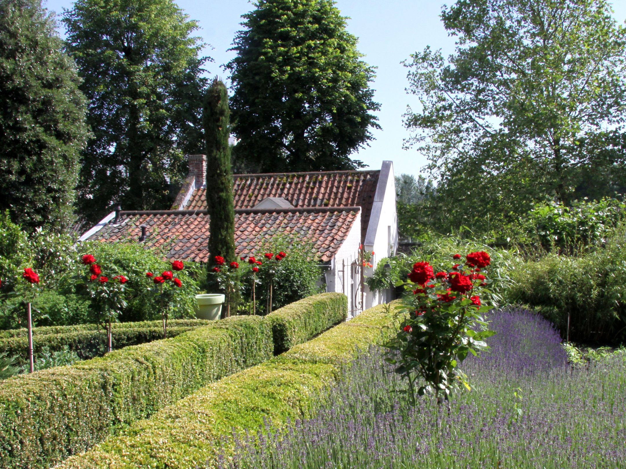 Foto 51 van Wijngaard 9