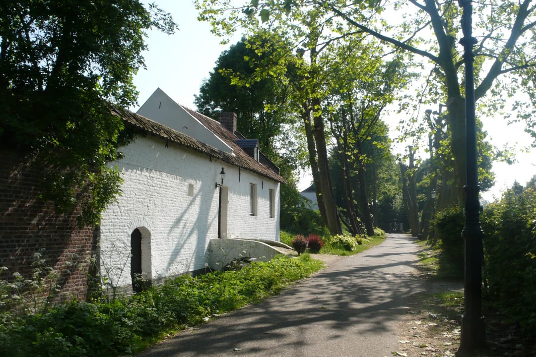 Foto 53 van Wijngaard 9