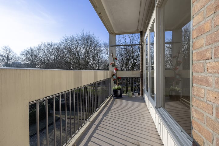 Foto 14 van Witsmeerstraat 16