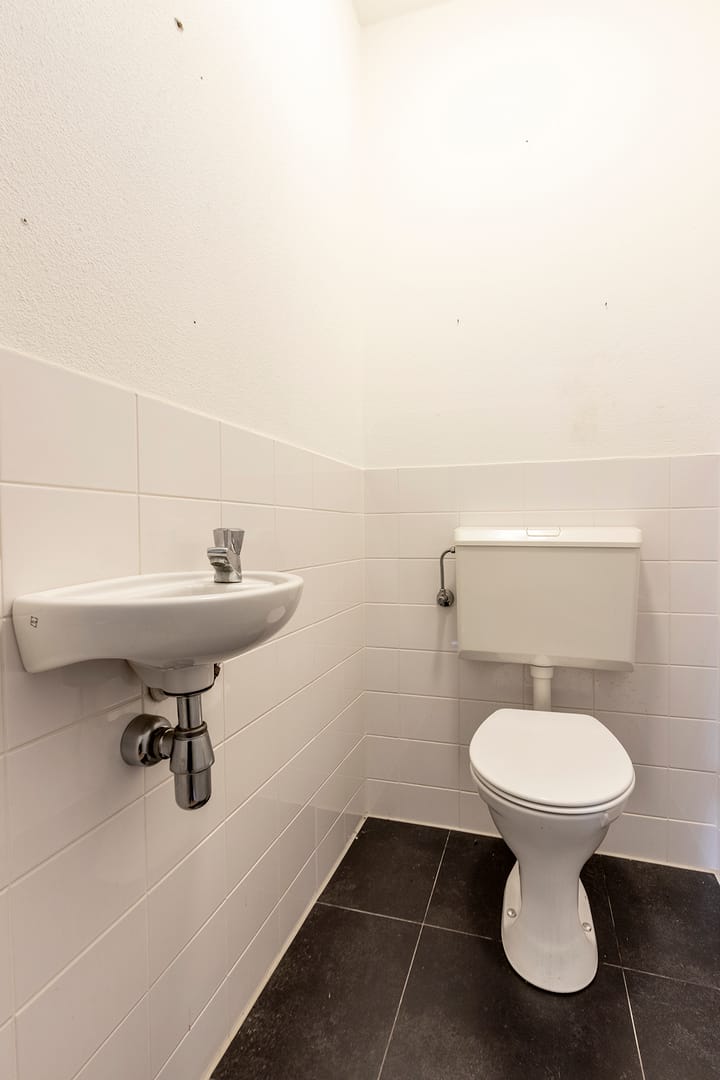 Foto 5 van De Gouden Leeuw 20-B