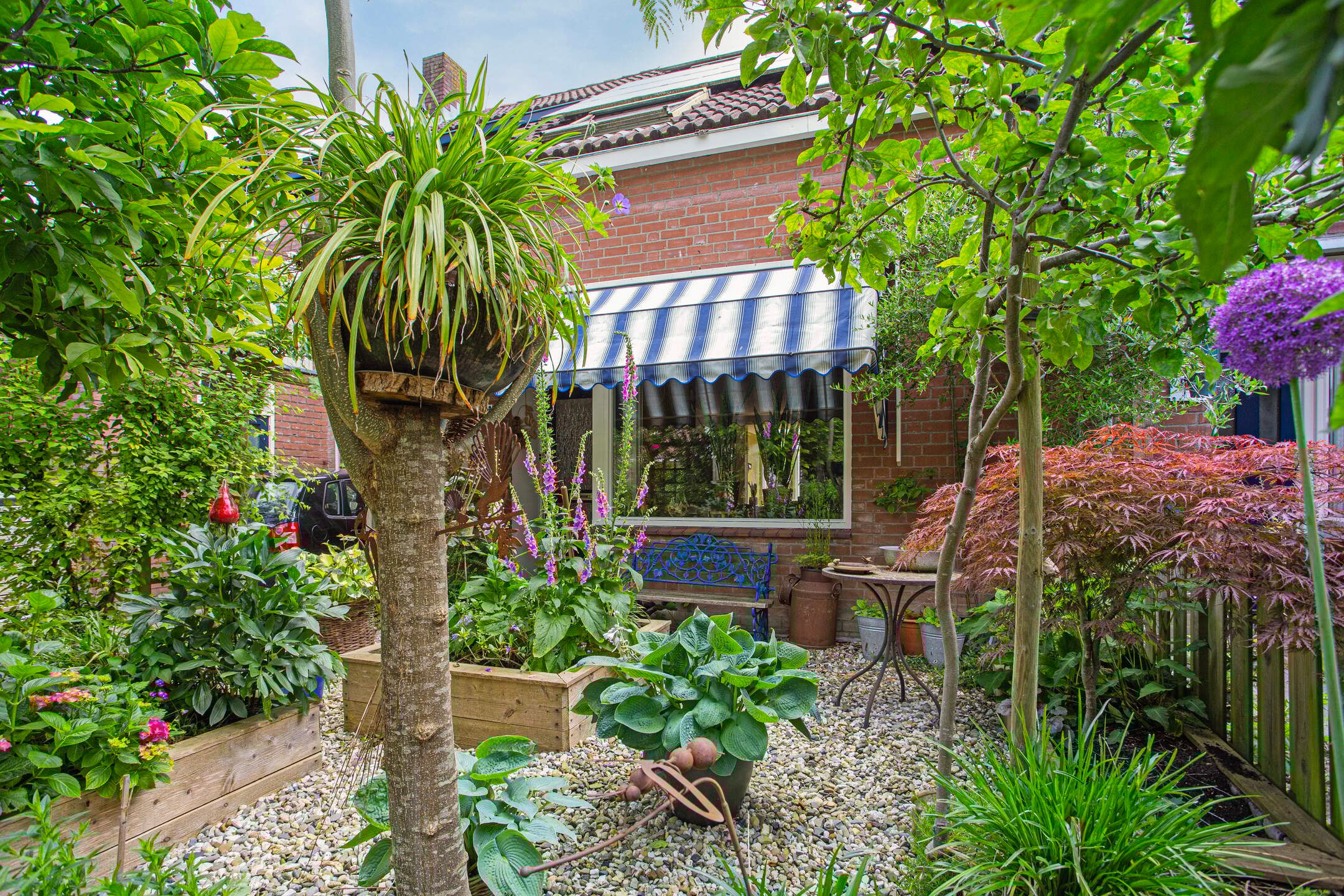 Foto 3 van Promenade 52