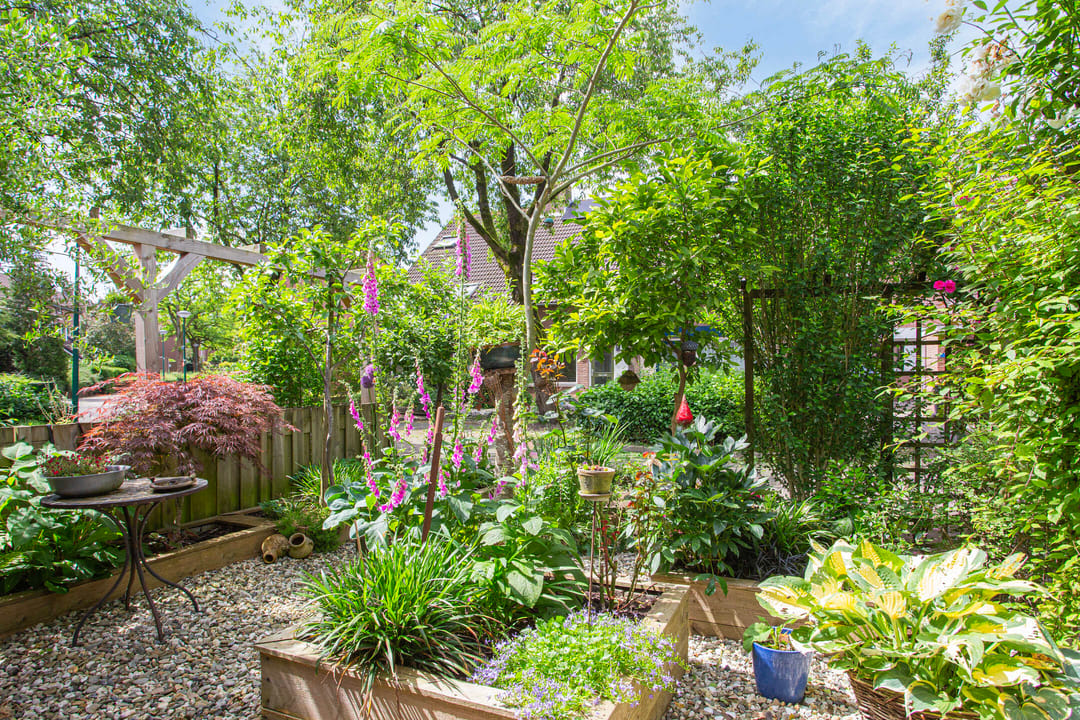 Foto 38 van Promenade 52