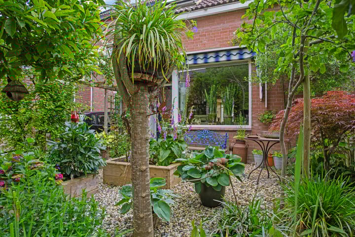 Foto 39 van Promenade 52