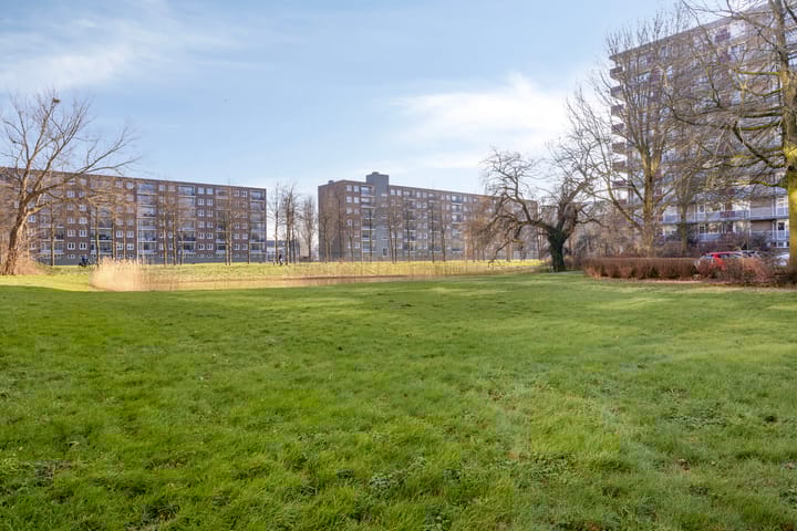 Foto 36 van Antwerpenstraat 322