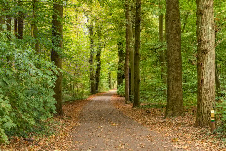 Foto 44 van Postweg 16