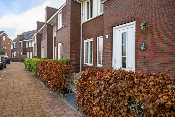 Foto 5 van Molkenkelder 19